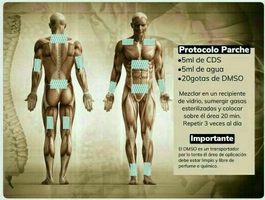 Protocolos CDS y MMS en Jalisco